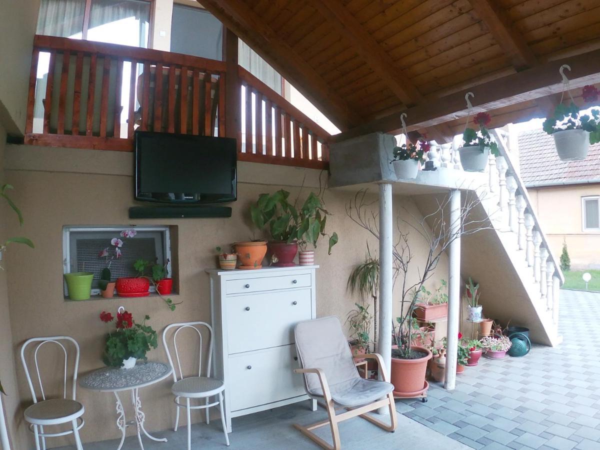Sînnicolau Mare Casa Sannicolau B&B 외부 사진