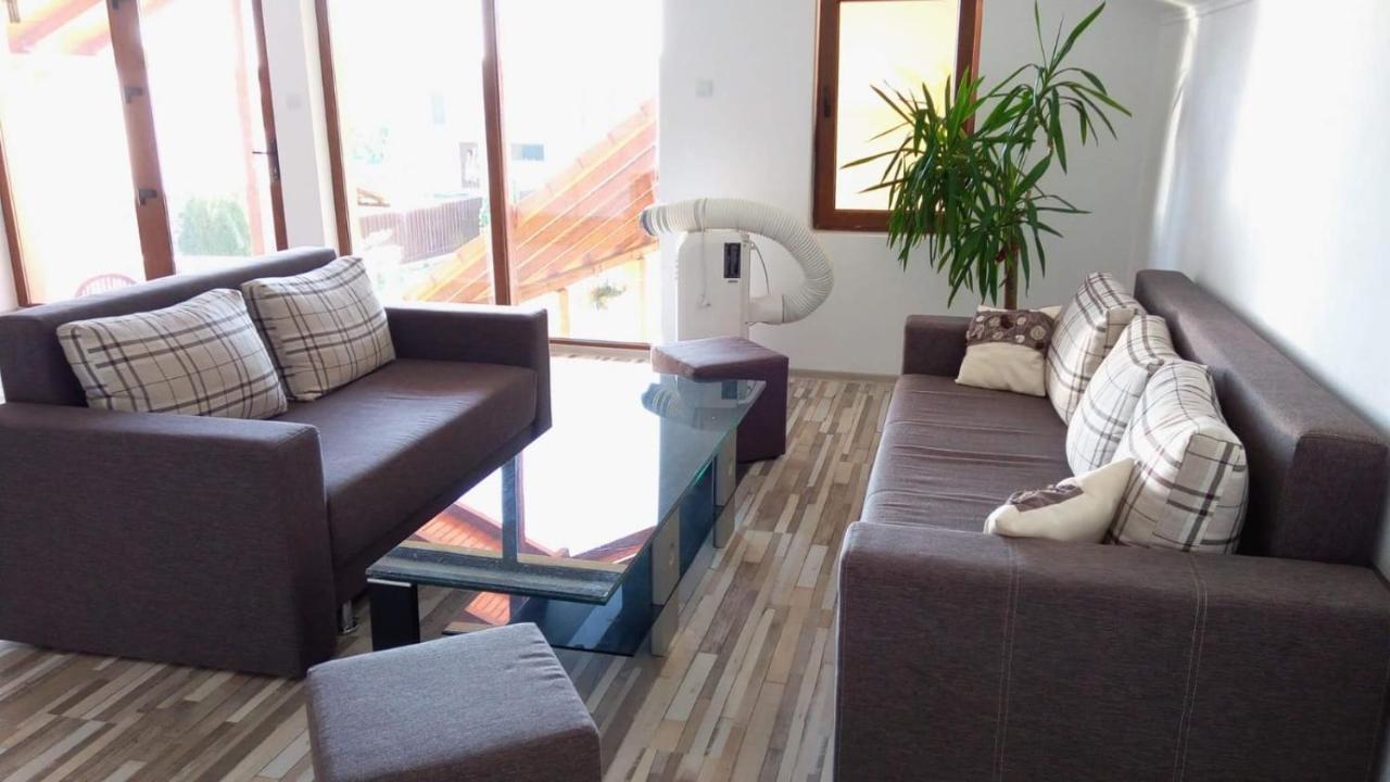 Sînnicolau Mare Casa Sannicolau B&B 외부 사진
