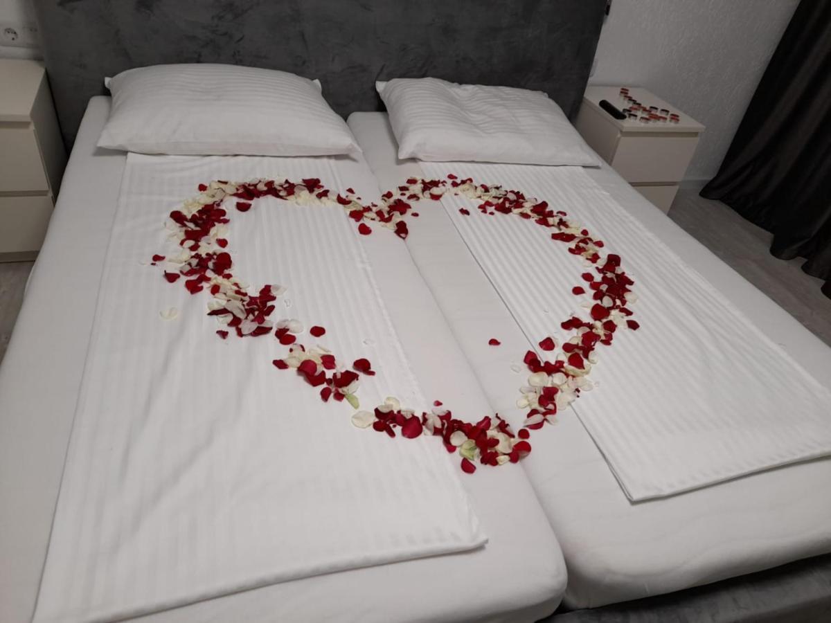Sînnicolau Mare Casa Sannicolau B&B 외부 사진